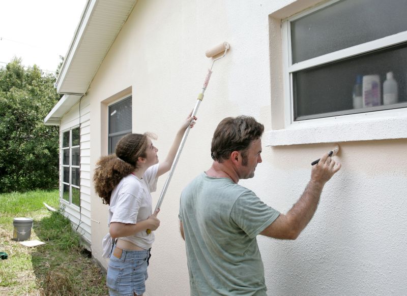 Cladding Painting in Fort Collins, CO