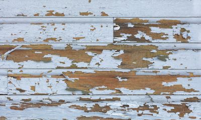 Reduce Lead Paint Hazards!